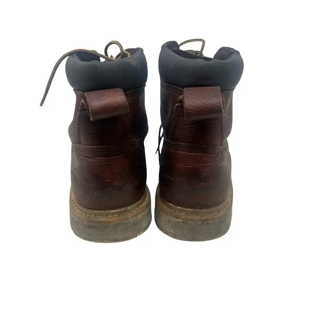 Irish Setter Ashby 6